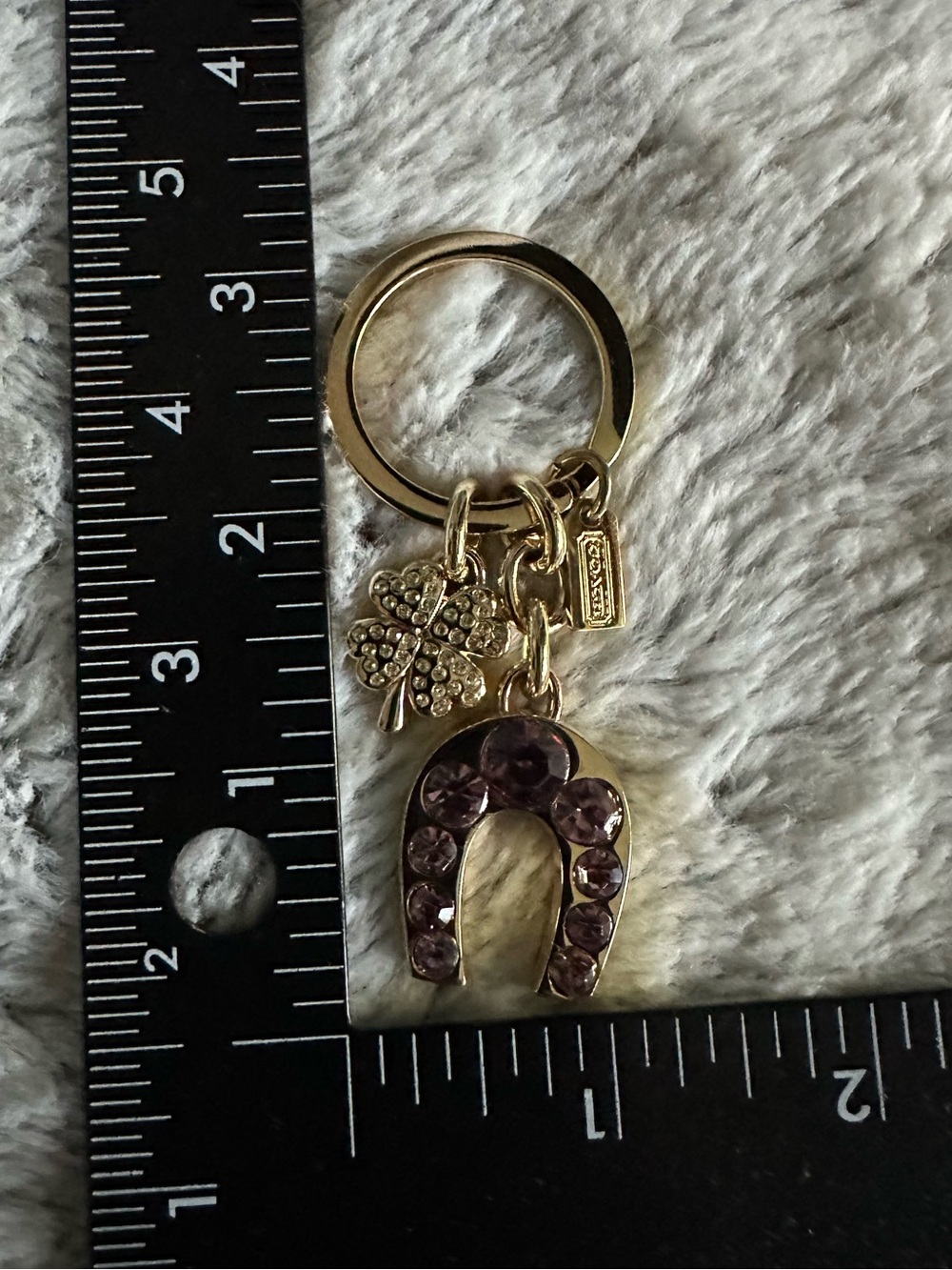 Coach Lucky Keychain - Picture 9 of 9